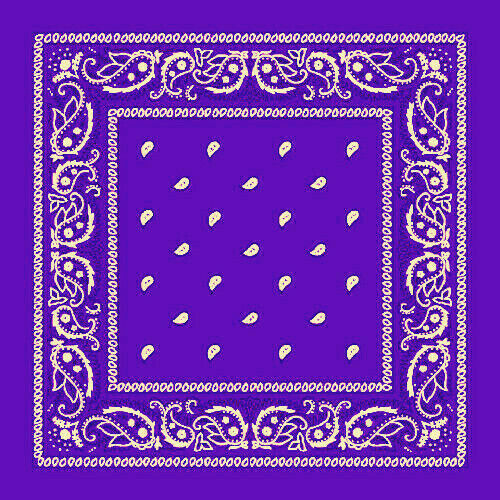 3-12 piezas Bandana con estampado de cachemira 100 % algodón Máscara facial Cuello Cubierta Cabeza Bufanda urdimbre - Imagen 24 de 32