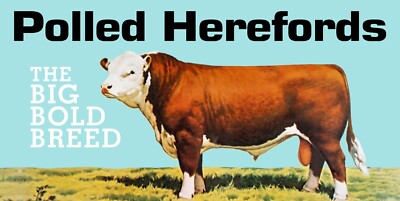 Polled Herefords - The Big Bold Breed NEW Metal Sign 24''x48'' USA STEEL XXL Size