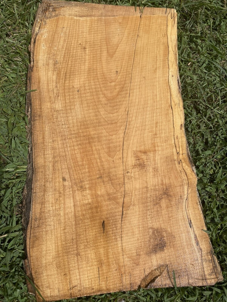 Spalted Maple Live Edge Slab #1029 Natural Wood Tabletop