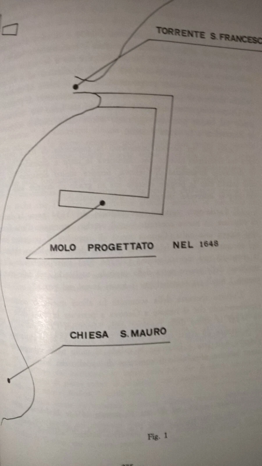 Foto 11 di 11