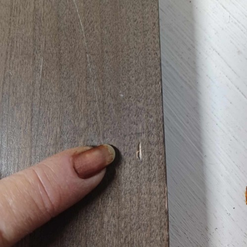 Armadio in legno porta campione per progetto artigianale *marrone medio* - Foto 5 di 6