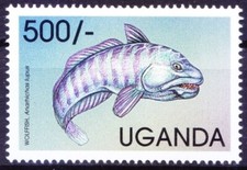 Uganda 1999 MNH, Atlantic Wolffish, catfish, devil fish, wolf ee, sea animals
