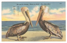 FL Ma and Pa Pelican Tichnor Brothers Postcard c1950s Posted