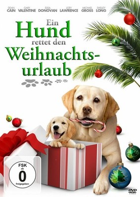 Ein Hund rettet die Weihnachtsurlaub DVD