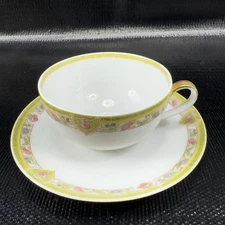Theodore Haviland Limoges France Fine Porcelain Teacup Saucer Set Green Floral