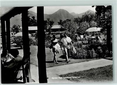 10298553 - Tsitsikamma Garden View Forest Suedafrika 1958