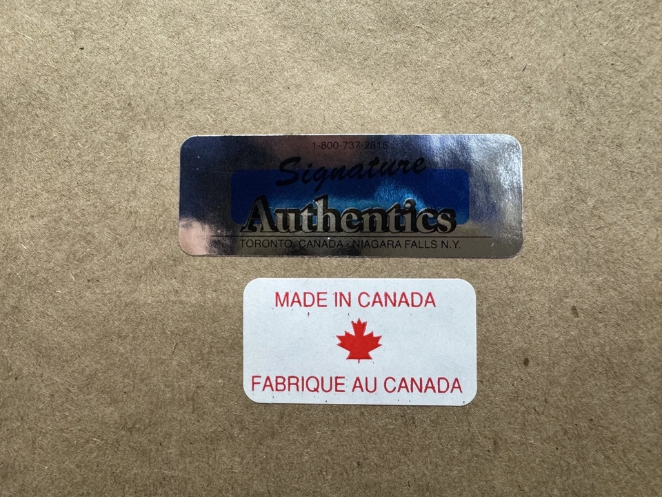 Cuadro Kyle Lowery, Toronto Raptors Championship 32" x 26" Foto 3 de 3