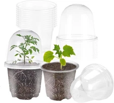 JOPY 30 Pack 4 Inch Plastic Nursery Pots with 4 Inch-30Pcs, Transparent 