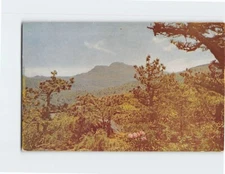 Postcard Grandfather Parkway Blue Ridge Parkway North Carolina USA