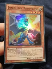 Yugioh White Dragon Destruvouivre AP06-FR005 Super Rare French Wyverbuster Exc