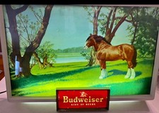 Vintage 1950er BUDWEISER Bier CLYDESDALE Anheuser Busch Bar Lichtsign Excellent