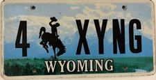 Vanity FOR XYNG CROSSING Licence Plate WY Road Line Animal Car Auto Guard Zebra