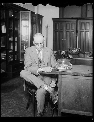 Uncle Sam's postal inspectors puttin a stop fraudulent cure-alls. A Clerk in