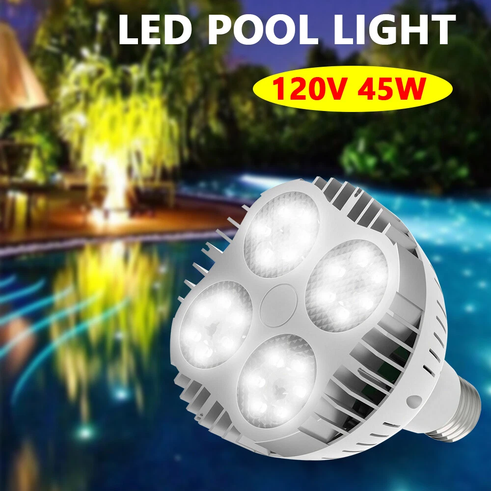 Pentair Fiber Optic Pool Light Bulb Shelly Lighting