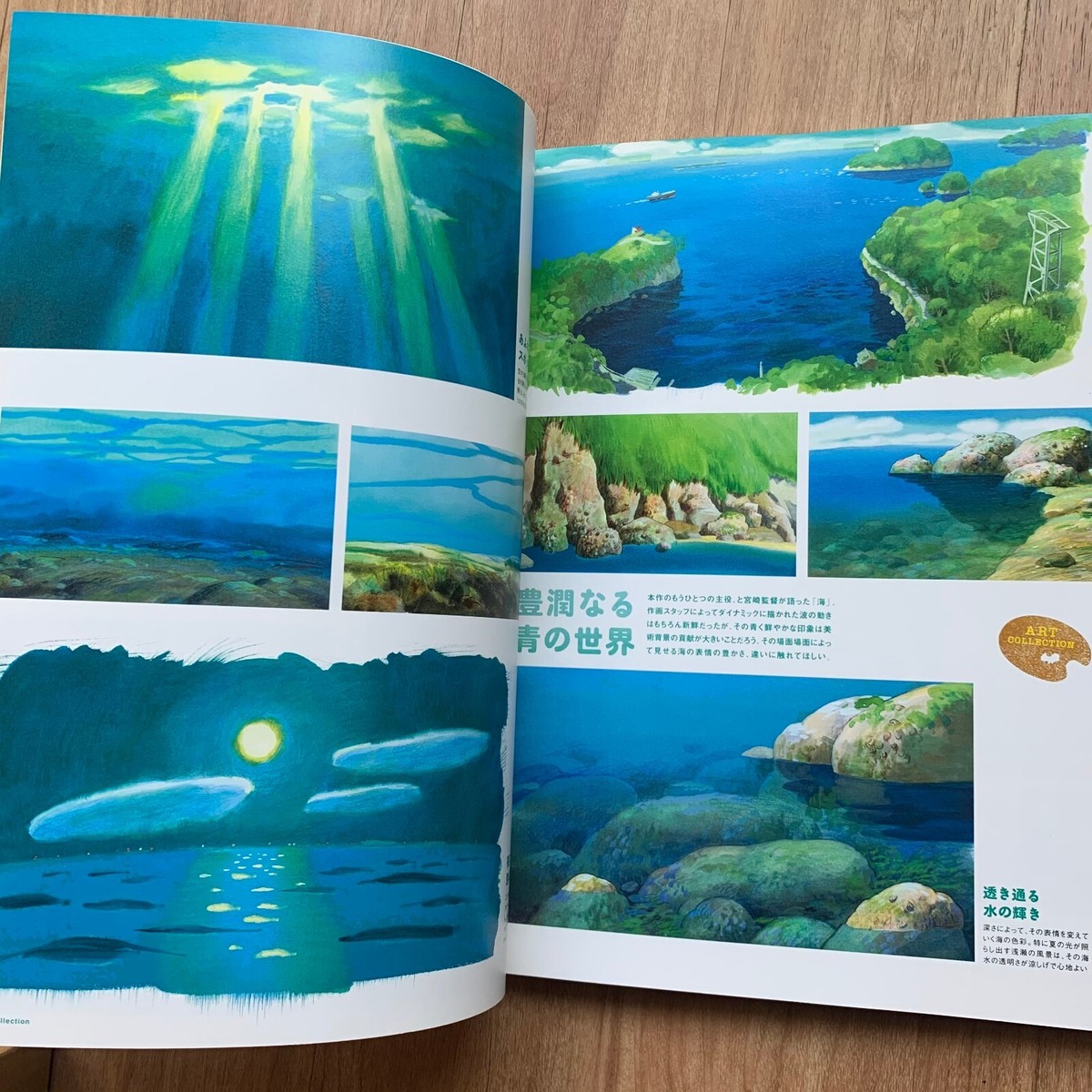 ponyo ponyo  トランスルーセント3本セット ponyo ponyo トランスルーセント3本セット Studio Ghibli Ponyo