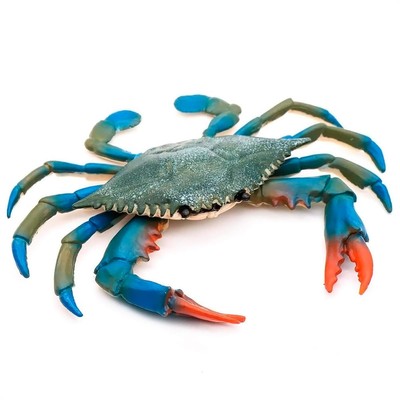 Maryland 10'' Blue Crab TiKi Bar Nursery Wall Decor by Charlotte International