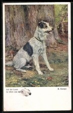 Künstler-AK R. Konopa: Auf der Lauer, Terrier