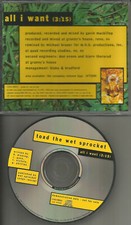 Glen Phillips TOAD THE WET SPROCKET All I want PROMO DJ CD Single USA MINT