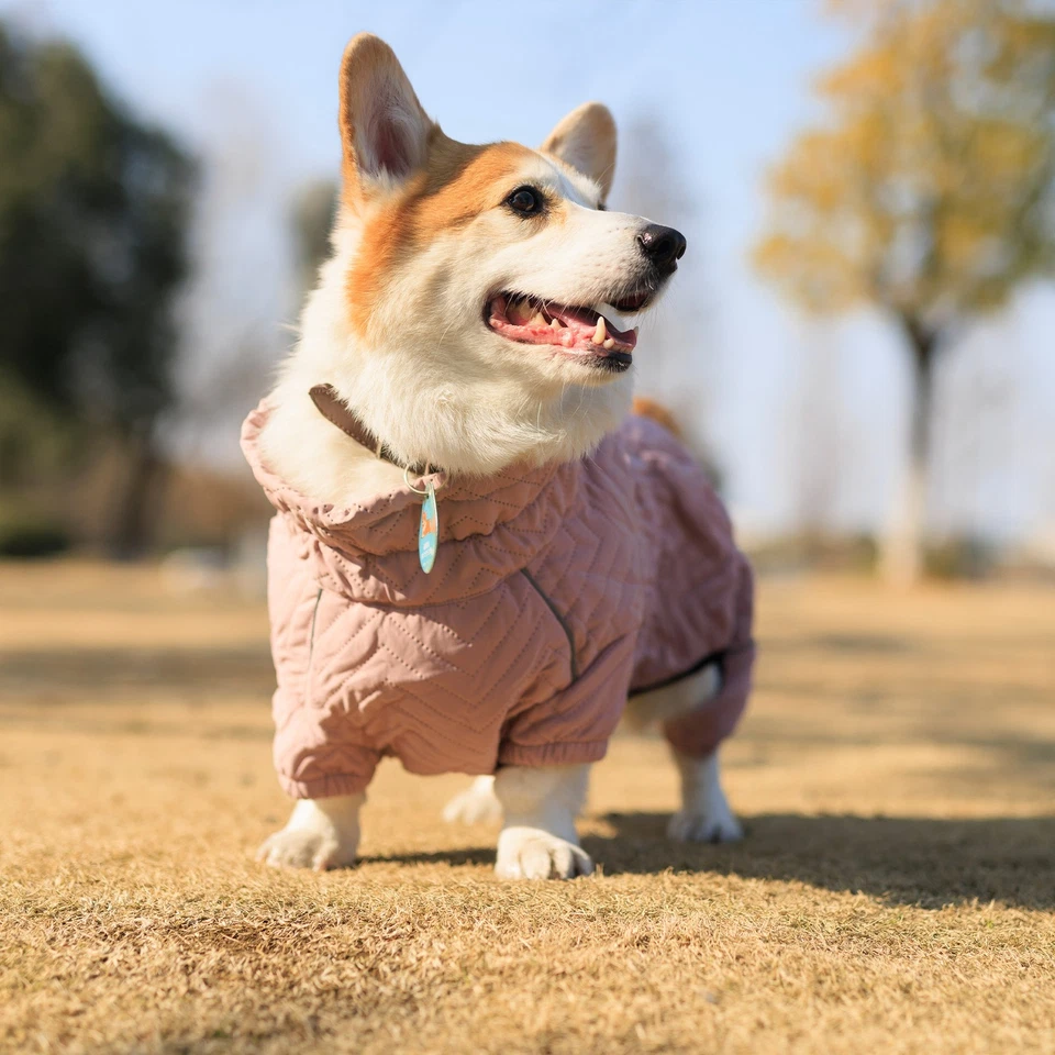 Dog Winter Coat Windproof Waterproof Reflective Warm Dog Clothing  4 Legs Covere - Image 3 of 4