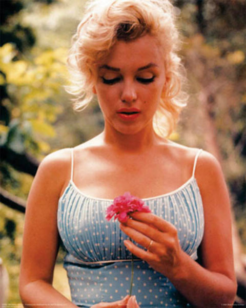 MARILYN MONROE WITH FLOWER POSTER 24
