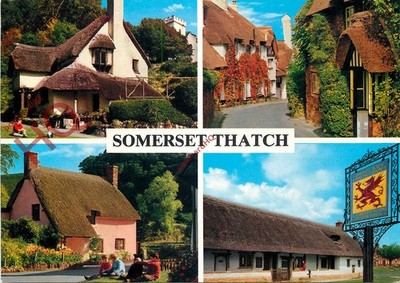 Ansichtskarte, Somerset Thatch (Multiview) [John Hinde]
