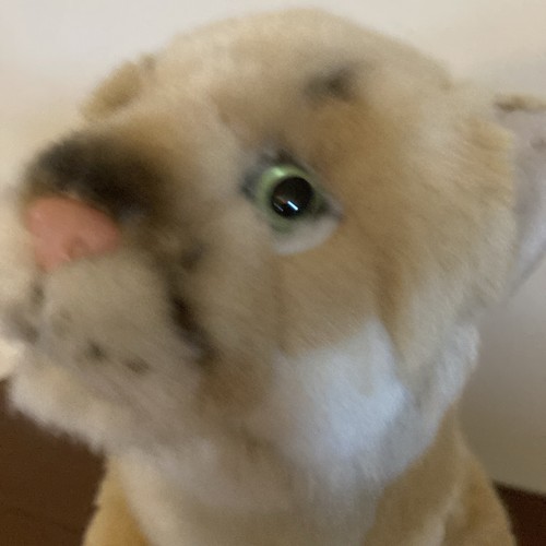 Ganz Webkinz Gold Signature Mountain Lion Cougar WKSE3009 Plush No Code Y - Picture 12 of 12