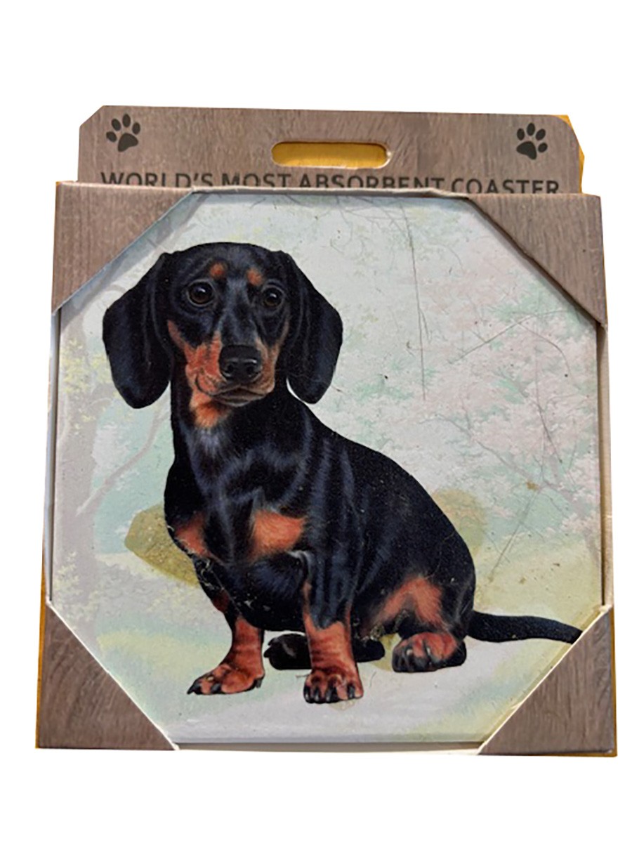 Такса, сидящая на черной подставке для напитков на столешнице (1)