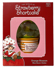 The Wonderful World Of Strawberry Shortcake O...