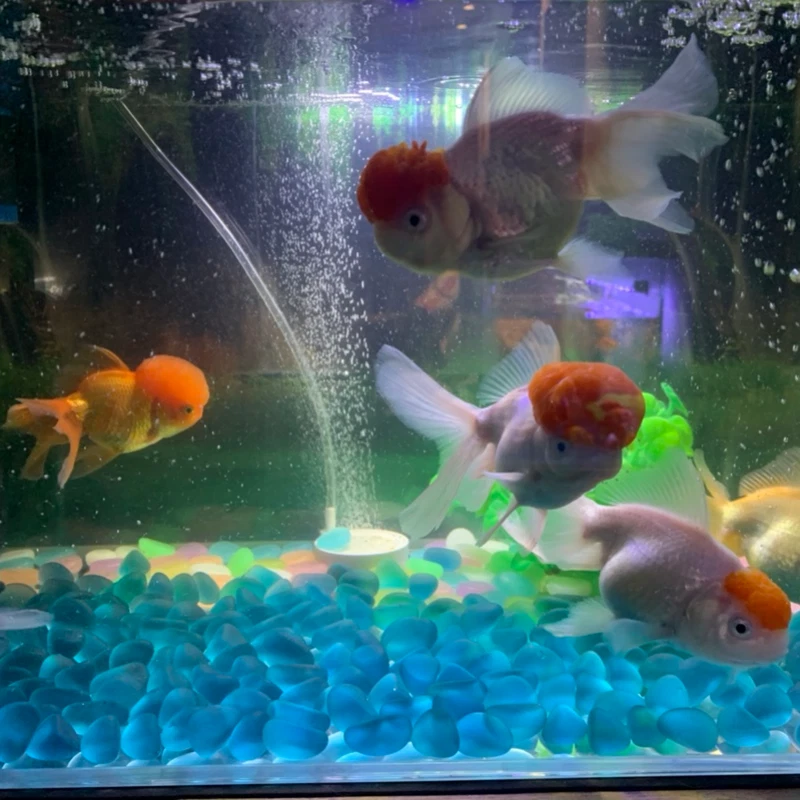 50 piedras de vidrio decorativas guijarros para acuario/pecera/relleno de jarrón/arte de jardín Foto 4 de 4