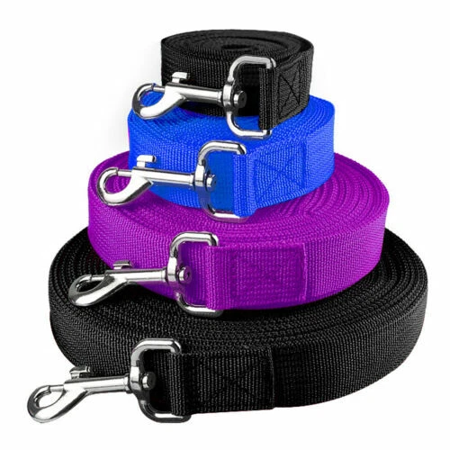 Laisses longes pour chien