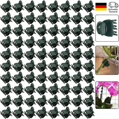 Pflanzenclips für Orchideen und Gemüse - 100 Stück langlebig wiederverwendbar