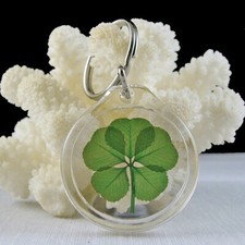 Good Luck Charm Keychain with a Real 5 Leaf Clover KT-5L