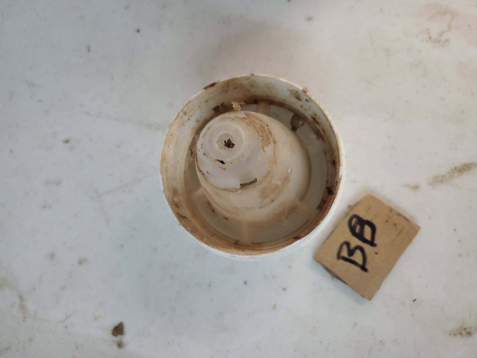 Whirlpool Maytag Washer Fabric Softener Dispenser W11195024 W10740335