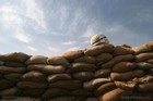 50 US Mil-spec SANDBAGS Army Marines ballistic flood wall since the Vietnam War — photo 8