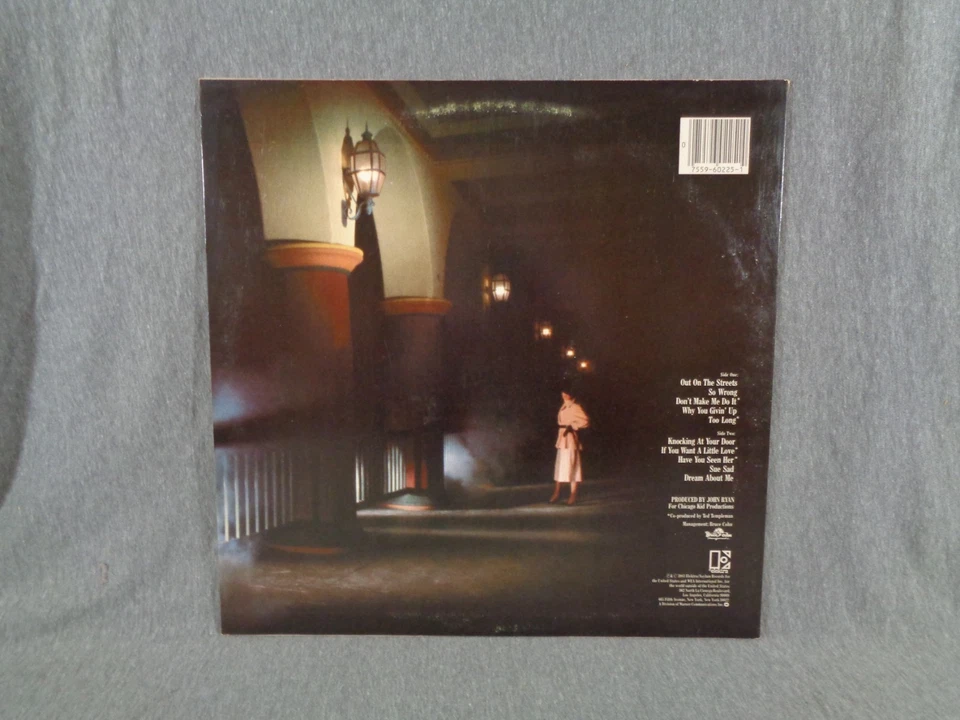 1983 PATRICK SIMMONS Arcade # ELEKTRA 9 60225 - 1 VG++/NM Doobie Brothers - Image 2 of 4