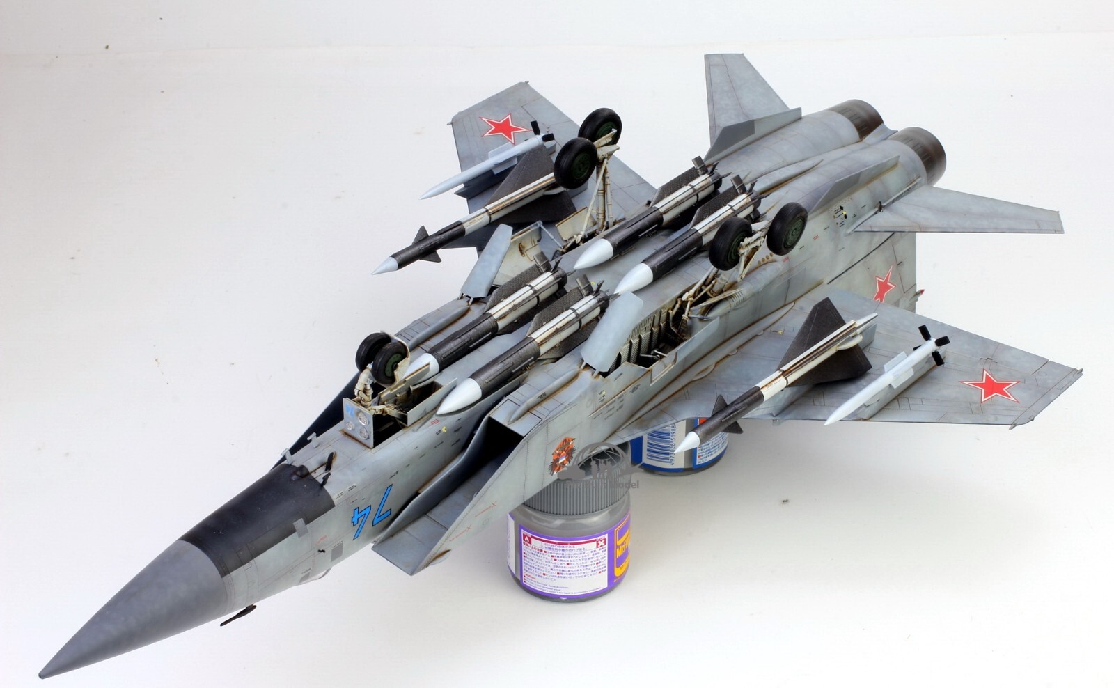 PreSale Russia MiG-31 Foxhound 1:48 Pro Built Model