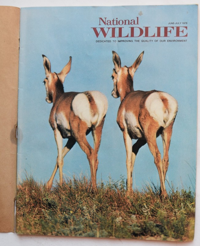 NATIONAL WILDLIFE MAGAZINE - JUNE-JULY 1978 