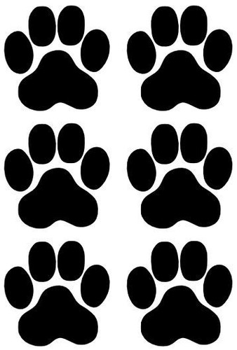 Pfoten, Cat, Dog, Hundepfoten, Katzenpfoten Aufkleber Sticker 6 Stück in 10X10cm