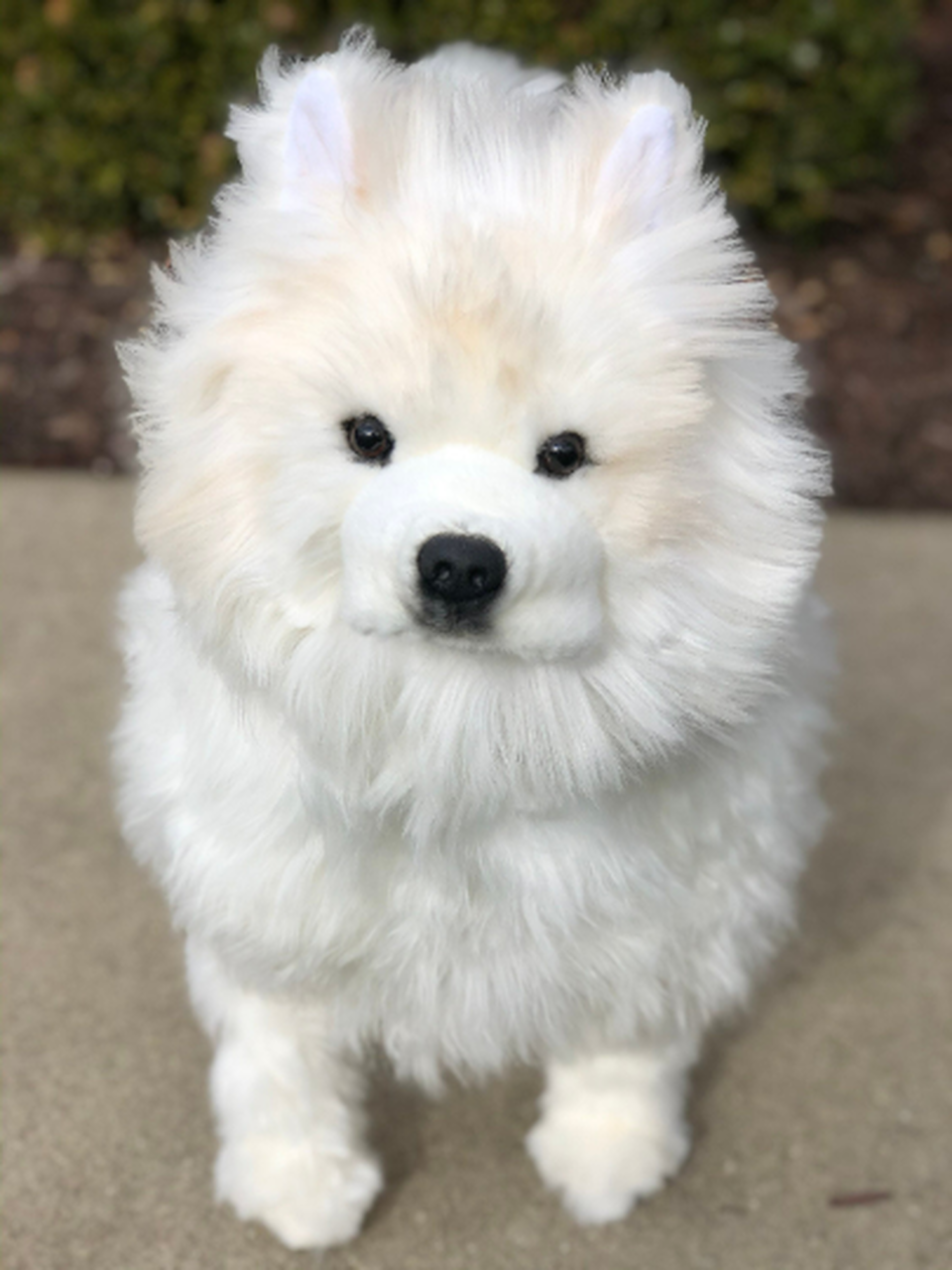 Auswella Samoyed Plush Dog - Stuffed Animal- Realistic Collectors ...