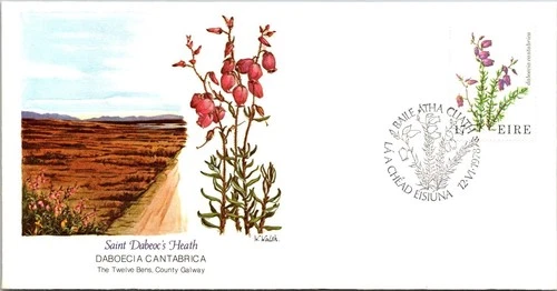 Ireland FDC 1978 Saint Dabeoc's Heath / Fleetwood - Baile Atha Cliath - J26324