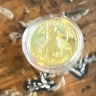 U.S. Mint American Eagle 1 /2oz Gold Coin 0.9167 Fineness Uncertified