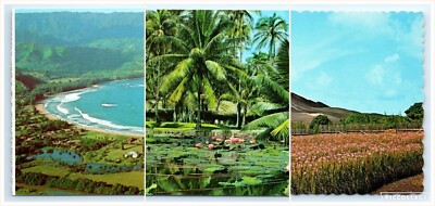 Postcard Lot 3 Hawaii Hanalei Bay Coco Palms Resort Lily Pond Vanda Orchid Field
