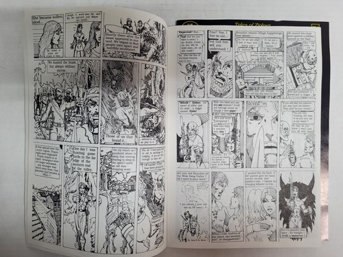 Tales of Zjolner The Sword of Silver The Dark Moon Saga Book 1 & 2 1991 - Picture 17 of 24