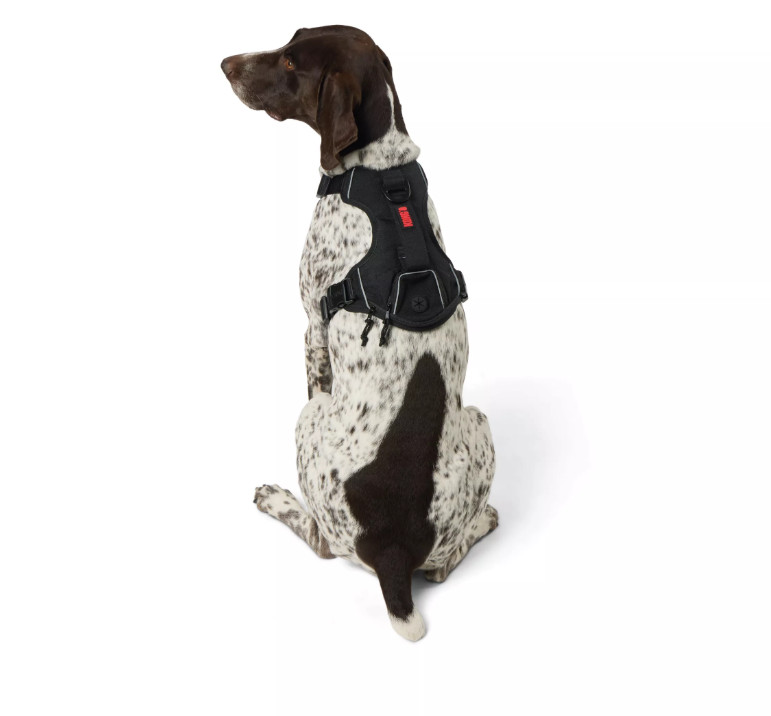 KONG Dog Harness With Waste Bag Dispenser Adjustable color B