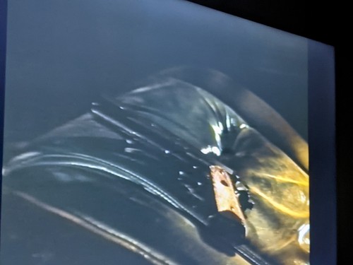 Red Line (VHS Promo Screener 1996) Tested (Pic) Rare Michael Madsen Chad McQueen - Picture 15 of 17