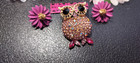 Flower Power Earrings Caffeinated SparkleOwl Betsey Johnson Pink Owl Brooch With