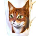 Bone China Abyssinian Cat Cup Royal Windsor Mug Coffee Tea Pretty Kitty Pets