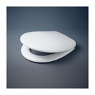 <!--F#f_0-->Caroma Profile Soft Close Toilet Seat Chrome Hinge With Germgard 300017W<!--F/-->