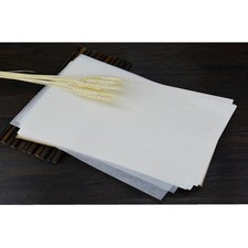 500 PCS Non-stick Baking Mat Sheet Dryer Food Papper Paper Liners