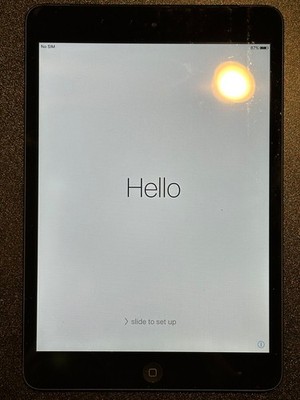 Apple iPad mini (1st Gen) A1454 64GB, Wi-Fi + Cellular (AT&T), iOS 9.3.6 - Black